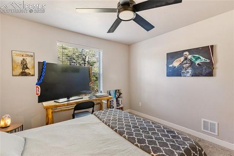 Tiny photo for 118 E Chester Avenue, Woodland Park, CO 80863 (MLS # 8346801)