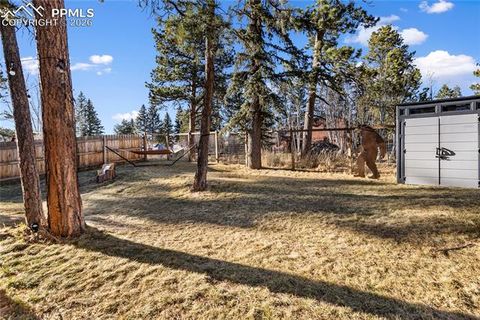 Tiny photo for 118 E Chester Avenue, Woodland Park, CO 80863 (MLS # 8346801)