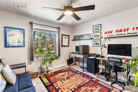 Tiny photo for 118 E Chester Avenue, Woodland Park, CO 80863 (MLS # 8346801)