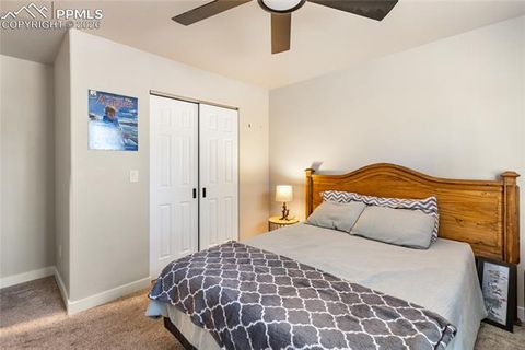 Tiny photo for 118 E Chester Avenue, Woodland Park, CO 80863 (MLS # 8346801)