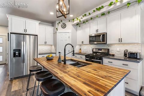 Tiny photo for 118 E Chester Avenue, Woodland Park, CO 80863 (MLS # 8346801)