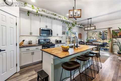 Tiny photo for 118 E Chester Avenue, Woodland Park, CO 80863 (MLS # 8346801)