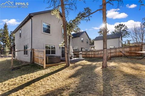 Tiny photo for 118 E Chester Avenue, Woodland Park, CO 80863 (MLS # 8346801)