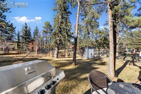 Tiny photo for 118 E Chester Avenue, Woodland Park, CO 80863 (MLS # 8346801)