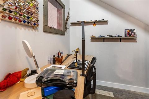 Tiny photo for 118 E Chester Avenue, Woodland Park, CO 80863 (MLS # 8346801)