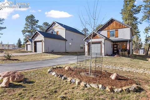 Tiny photo for 118 E Chester Avenue, Woodland Park, CO 80863 (MLS # 8346801)