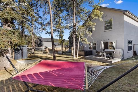 Tiny photo for 118 E Chester Avenue, Woodland Park, CO 80863 (MLS # 8346801)