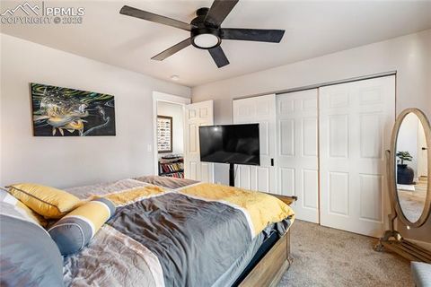 Tiny photo for 118 E Chester Avenue, Woodland Park, CO 80863 (MLS # 8346801)