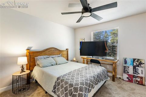 Tiny photo for 118 E Chester Avenue, Woodland Park, CO 80863 (MLS # 8346801)