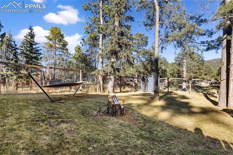 Tiny photo for 118 E Chester Avenue, Woodland Park, CO 80863 (MLS # 8346801)