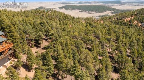 Photo of 2255 Elk Park Road, Larkspur, CO 80118 (MLS # 2015250)