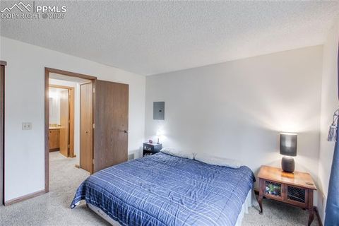Tiny photo for 380 Paradise Circle #C2, Woodland Park, CO 80863 (MLS # 4541661)