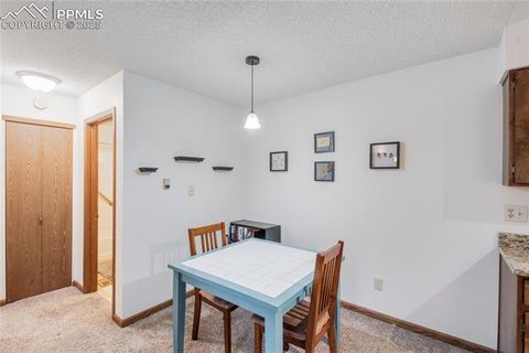 Tiny photo for 380 Paradise Circle #C2, Woodland Park, CO 80863 (MLS # 4541661)