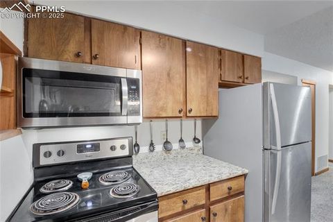 Tiny photo for 380 Paradise Circle #C2, Woodland Park, CO 80863 (MLS # 4541661)