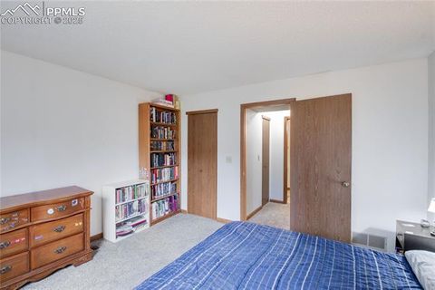Tiny photo for 380 Paradise Circle #C2, Woodland Park, CO 80863 (MLS # 4541661)