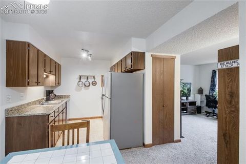 Tiny photo for 380 Paradise Circle #C2, Woodland Park, CO 80863 (MLS # 4541661)