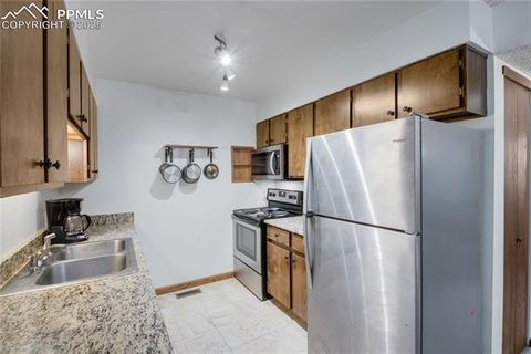 Tiny photo for 380 Paradise Circle #C2, Woodland Park, CO 80863 (MLS # 4541661)