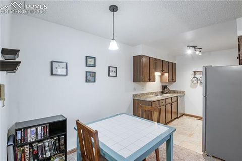 Tiny photo for 380 Paradise Circle #C2, Woodland Park, CO 80863 (MLS # 4541661)