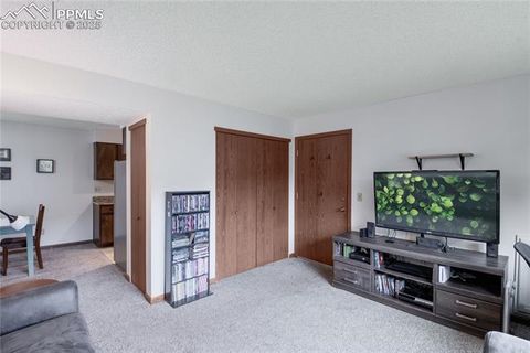 Tiny photo for 380 Paradise Circle #C2, Woodland Park, CO 80863 (MLS # 4541661)