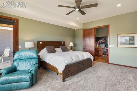 Tiny photo for 2754 County Road 421, Florissant, CO 80816 (MLS # 1642424)