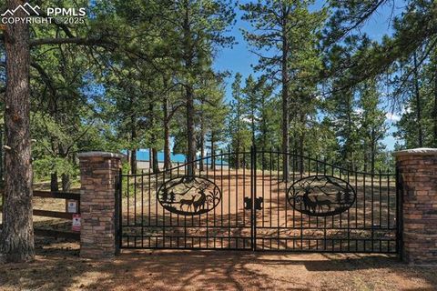 Tiny photo for 2754 County Road 421, Florissant, CO 80816 (MLS # 1642424)