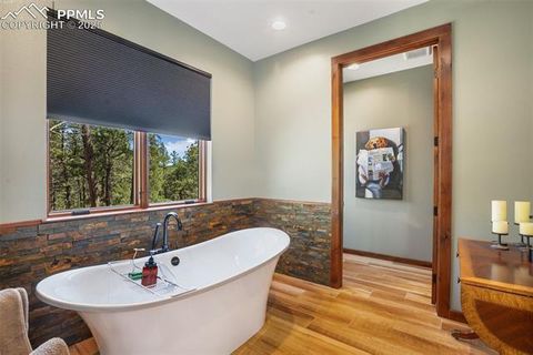 Tiny photo for 2754 County Road 421, Florissant, CO 80816 (MLS # 1642424)