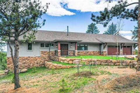 Tiny photo for 2754 County Road 421, Florissant, CO 80816 (MLS # 1642424)