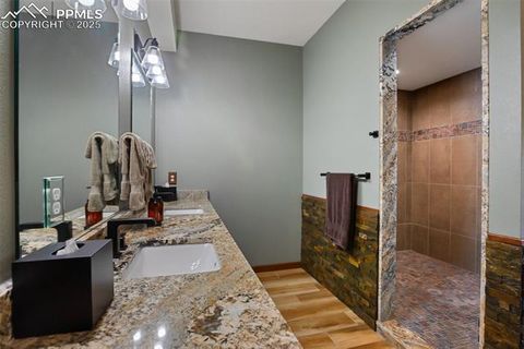 Tiny photo for 2754 County Road 421, Florissant, CO 80816 (MLS # 1642424)