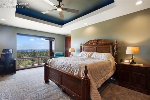 Tiny photo for 2754 County Road 421, Florissant, CO 80816 (MLS # 1642424)