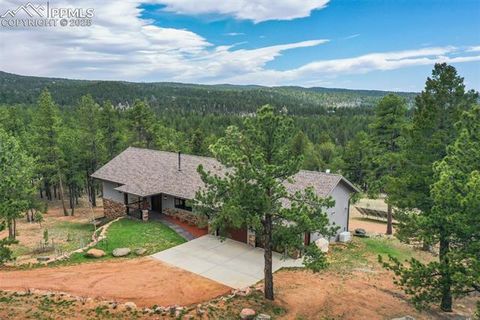 Tiny photo for 2754 County Road 421, Florissant, CO 80816 (MLS # 1642424)