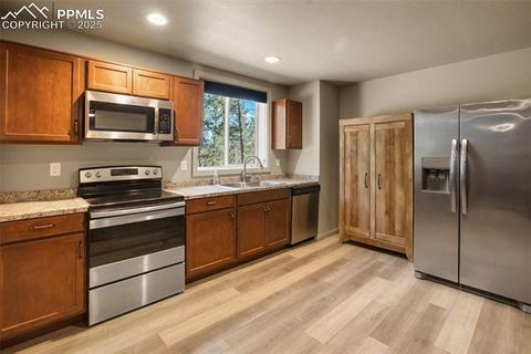 Tiny photo for 2754 County Road 421, Florissant, CO 80816 (MLS # 1642424)