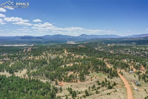 Tiny photo for 2754 County Road 421, Florissant, CO 80816 (MLS # 1642424)