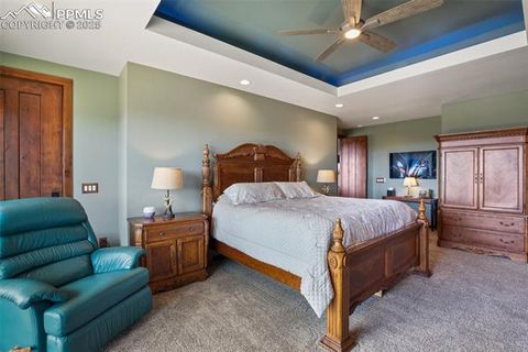 Tiny photo for 2754 County Road 421, Florissant, CO 80816 (MLS # 1642424)