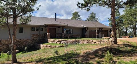 Photo of 2754 County Road 421, Florissant, CO 80816 (MLS # 1642424)