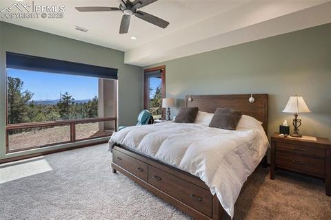 Tiny photo for 2754 County Road 421, Florissant, CO 80816 (MLS # 1642424)