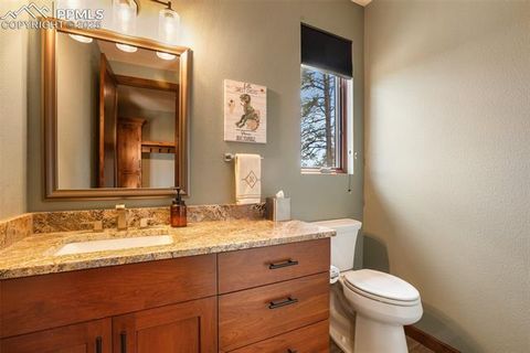 Tiny photo for 2754 County Road 421, Florissant, CO 80816 (MLS # 1642424)