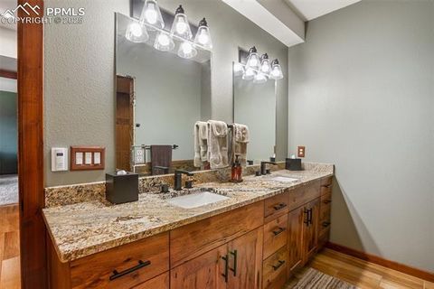 Tiny photo for 2754 County Road 421, Florissant, CO 80816 (MLS # 1642424)