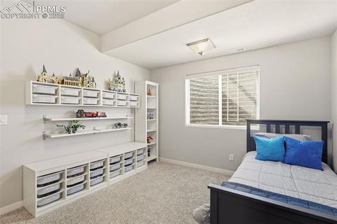 Tiny photo for 6541 Stonefly Drive, Colorado Springs, CO 80924 (MLS # 6469369)