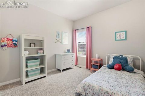 Tiny photo for 6541 Stonefly Drive, Colorado Springs, CO 80924 (MLS # 6469369)