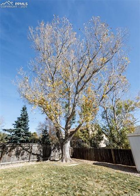 Tiny photo for 8361 Dolly Madison Drive, Colorado Springs, CO 80920 (MLS # 1174246)