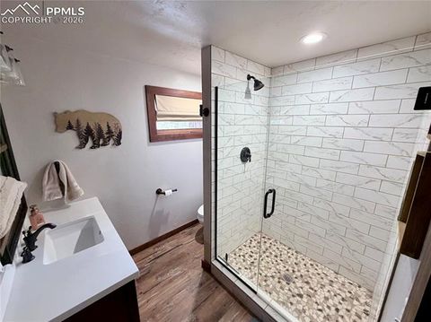 Tiny photo for 121 St. Charles Drive, Rye, CO 81069 (MLS # 1884053)