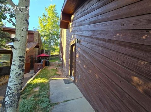 Tiny photo for 249 E Lake Avenue, Woodland Park, CO 80863 (MLS # 5917734)