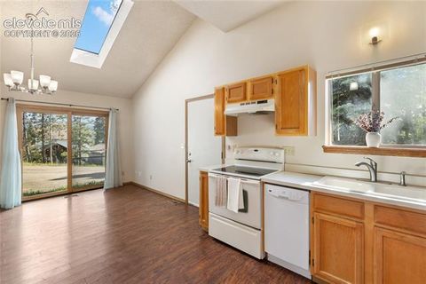 Tiny photo for 249 E Lake Avenue, Woodland Park, CO 80863 (MLS # 5917734)