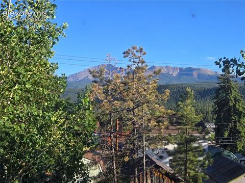 Tiny photo for 249 E Lake Avenue, Woodland Park, CO 80863 (MLS # 5917734)