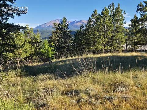 Tiny photo for 249 E Lake Avenue, Woodland Park, CO 80863 (MLS # 5917734)