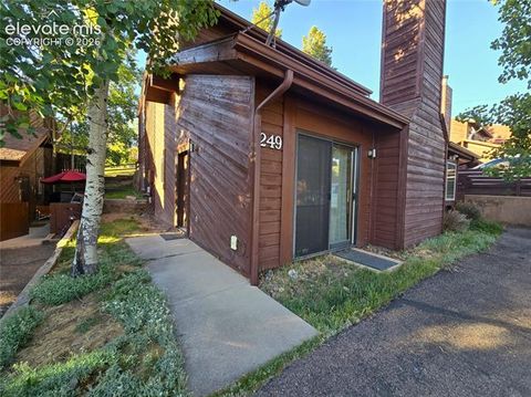 Photo of 249 E Lake Avenue, Woodland Park, CO 80863 (MLS # 5917734)