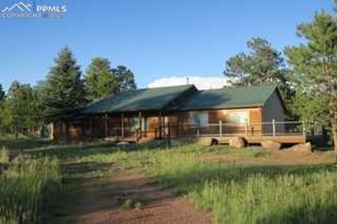 Photo of 143 Ring Road, Guffey, CO 80820 (MLS # 1927947) Photo of 143 Ring Road, Guffey, CO 80820 (MLS # 1927947)