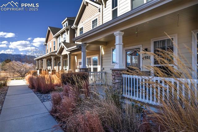 4921 Black Vulture Grove