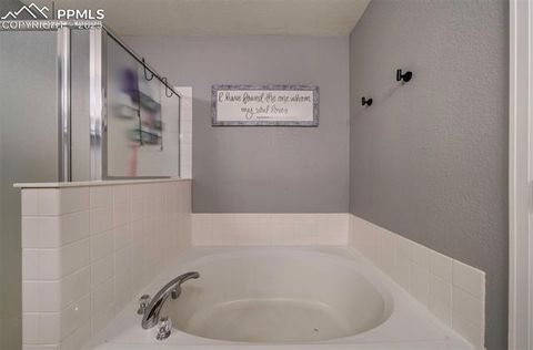 Tiny photo for 4921 Black Vulture Grove, Colorado Springs, CO 80916 (MLS # 8787930)