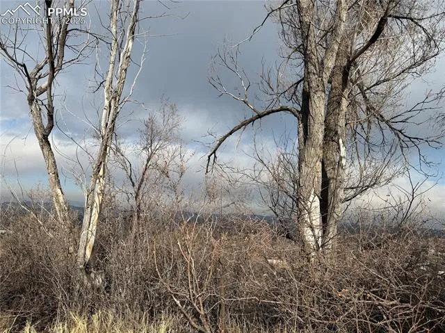 Colorado Springs, Colorado 80904, United States, ,Land,Active,2349